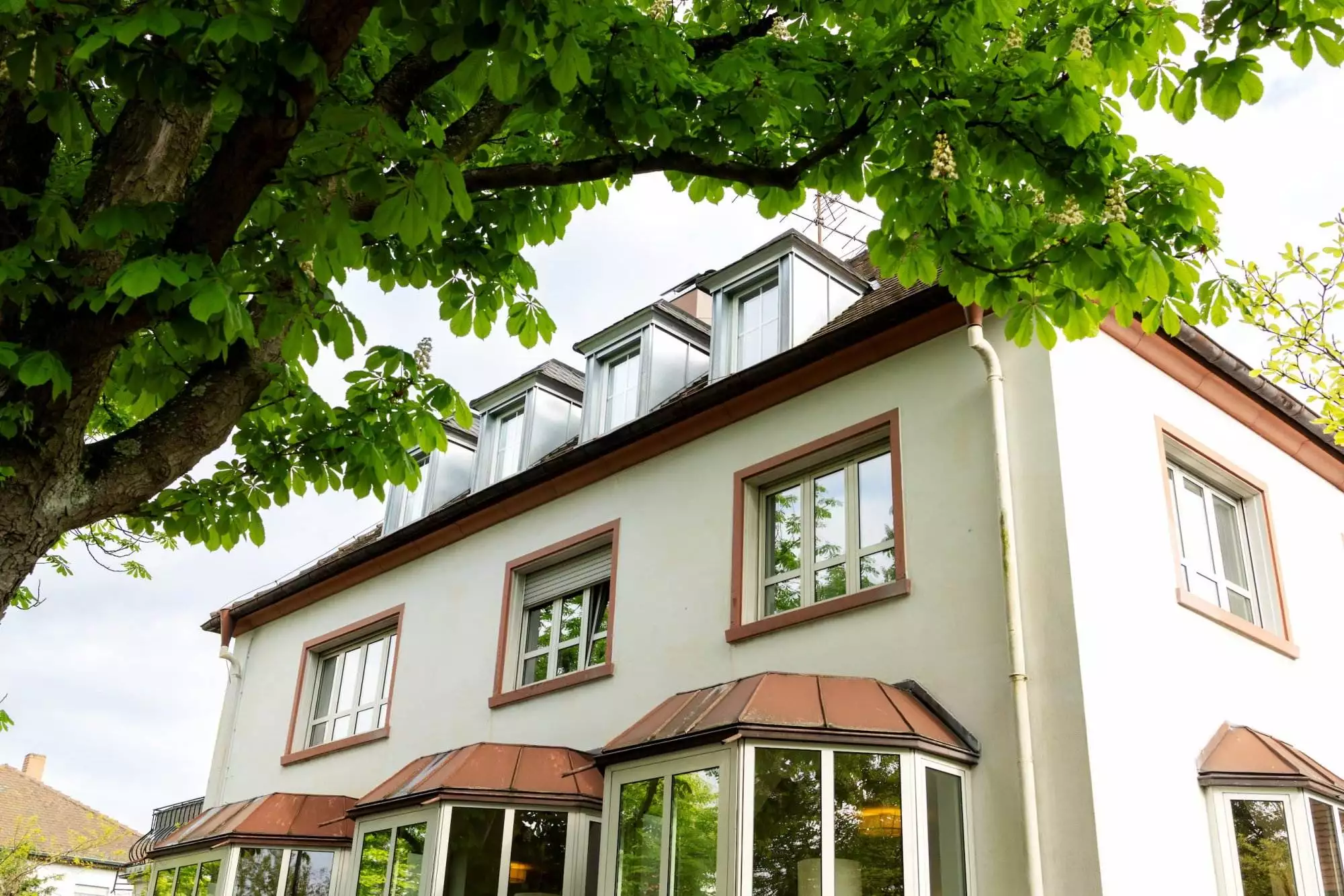 Haus mit weißen Fenstern und grünem Baum